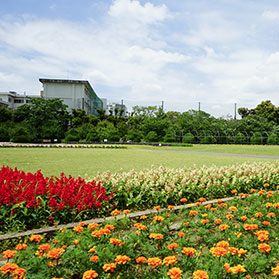 パーク 大船 フラワー 神奈川県立フラワーセンター大船植物園（植物園）｜TOKYOおでかけガイド