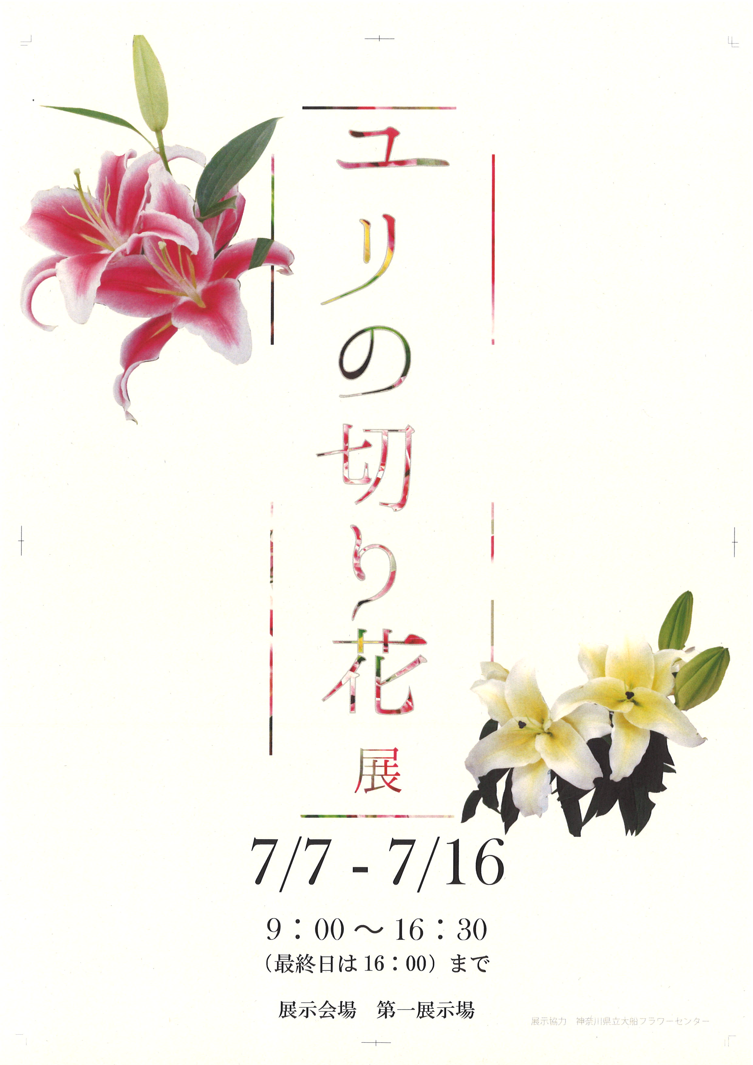 ユリの切り花展 イベント 神奈川県立大船フラワーセンター ユリの切り花展 イベント 神奈川県立大船フラワーセンター