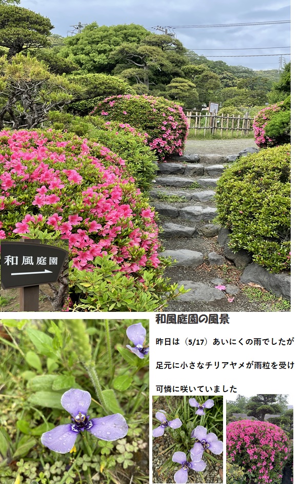 パーク 大船 フラワー 神奈川県立フラワーセンター大船植物園 クチコミ・アクセス・営業時間｜鎌倉【フォートラベル】